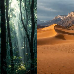 6b5cf6d7-cd12-4247-b44e-7966dfd7b146