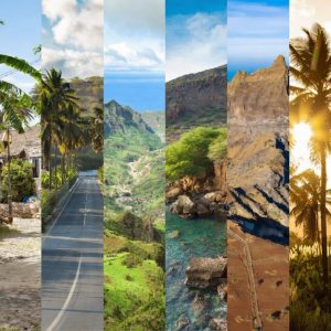 d4d4d28f-d983-4995-b06f-4147f2828b46