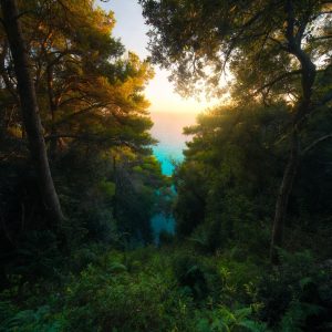 f4d65f9d-25f6-471d-b0f8-a1380a2eb03b